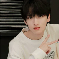 Nghiêm Hạo Tường