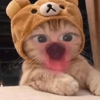 Tg Vô trí lắm =))