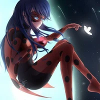 Ladybug