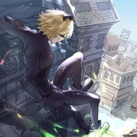 Chat Noir