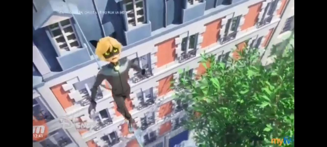 NovelToon