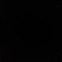 Nhân vật bí ẩn(????)