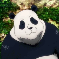 Panda không phải là gấu trúc