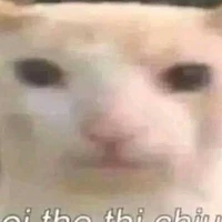 tác giả đẹptry