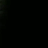 nhóm bot