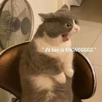 Gia đình Năm(-Nam)