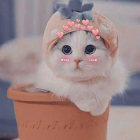 Linh Linh (Hệ Thống)