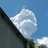 Hitoro Suu
