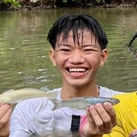 Đẳng cấp