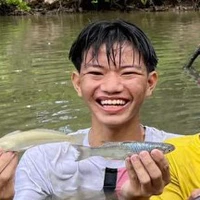 Đẳng cấp
