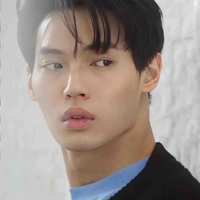 Metawin