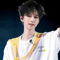 Hạ Tuấn Lâm