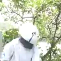 alpha
