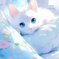 yuki