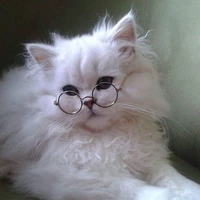 Tiểu Bạch (052212)