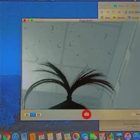 Tác giả đây