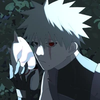 Uchiha/Hatake Kakashi