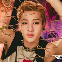 Bang Chan(Chris)
