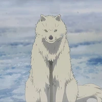 Joaan(Fushi)