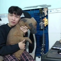 Híu siu trí tuệ Việt