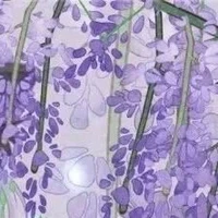 Cân mọi nhân vật phụ