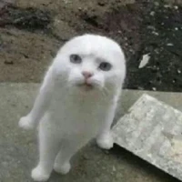 t/g