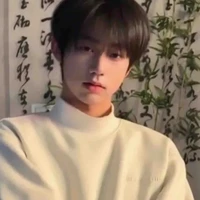 lãnh tử minh(n9/4/)