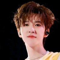 Hạ Tuấn Lâm