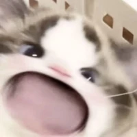 All