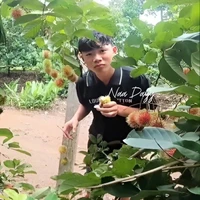 Phạm Thanh Nhã