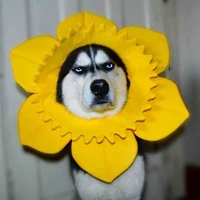 Ẩn
