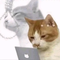 t/g