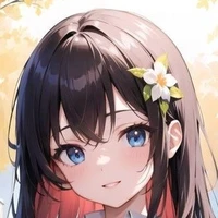 Y/N