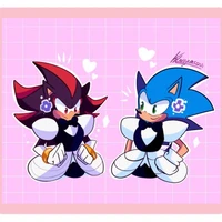 Akuma The Hedgehog
