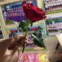 Cân mọi loại nhân vật