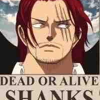 Shanks