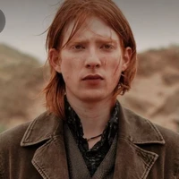 Bill Weasleys