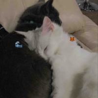 Au lười =))