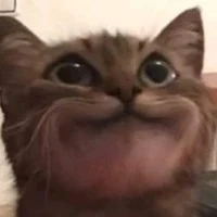 bà hoàng trong làng thất hứa 🥰