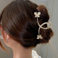 Hàn Ngọc Tuyết Băng_mẹ nu9