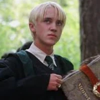 draco mafloy