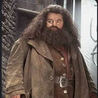 rubeus Hagrid