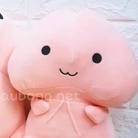 Cả Lớp