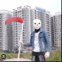 lost sans