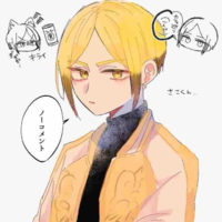 Sako Kota