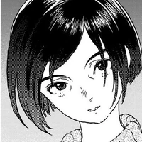 Izumi (giả)