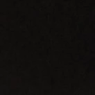 cả gia đình Đ.N