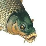 cá