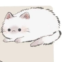 Senju Tobirama (dạng mèo)