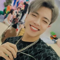 Hoài việt(Mister vịt)